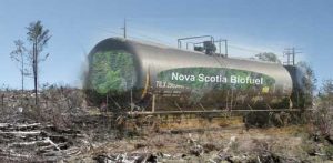 The future of forestry in Nova Scotia?