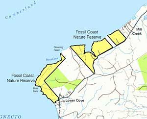 Fossil Cove Nature Reserve. Click on image for full map