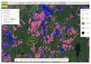 Recent and planned clearcuts on Crown land NE of Halifax Airport